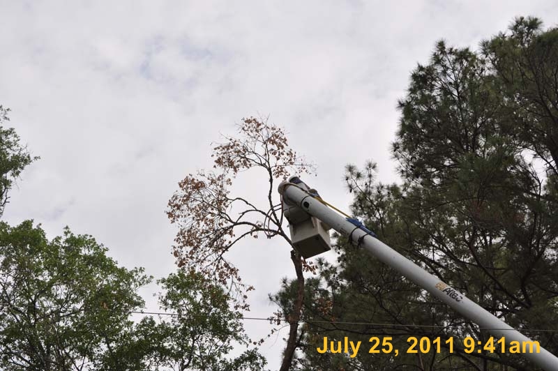 Entergy 098